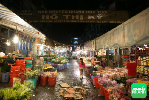 Chợ hoa Hồ Thị Kỷ - Ảnh: Andy Trần